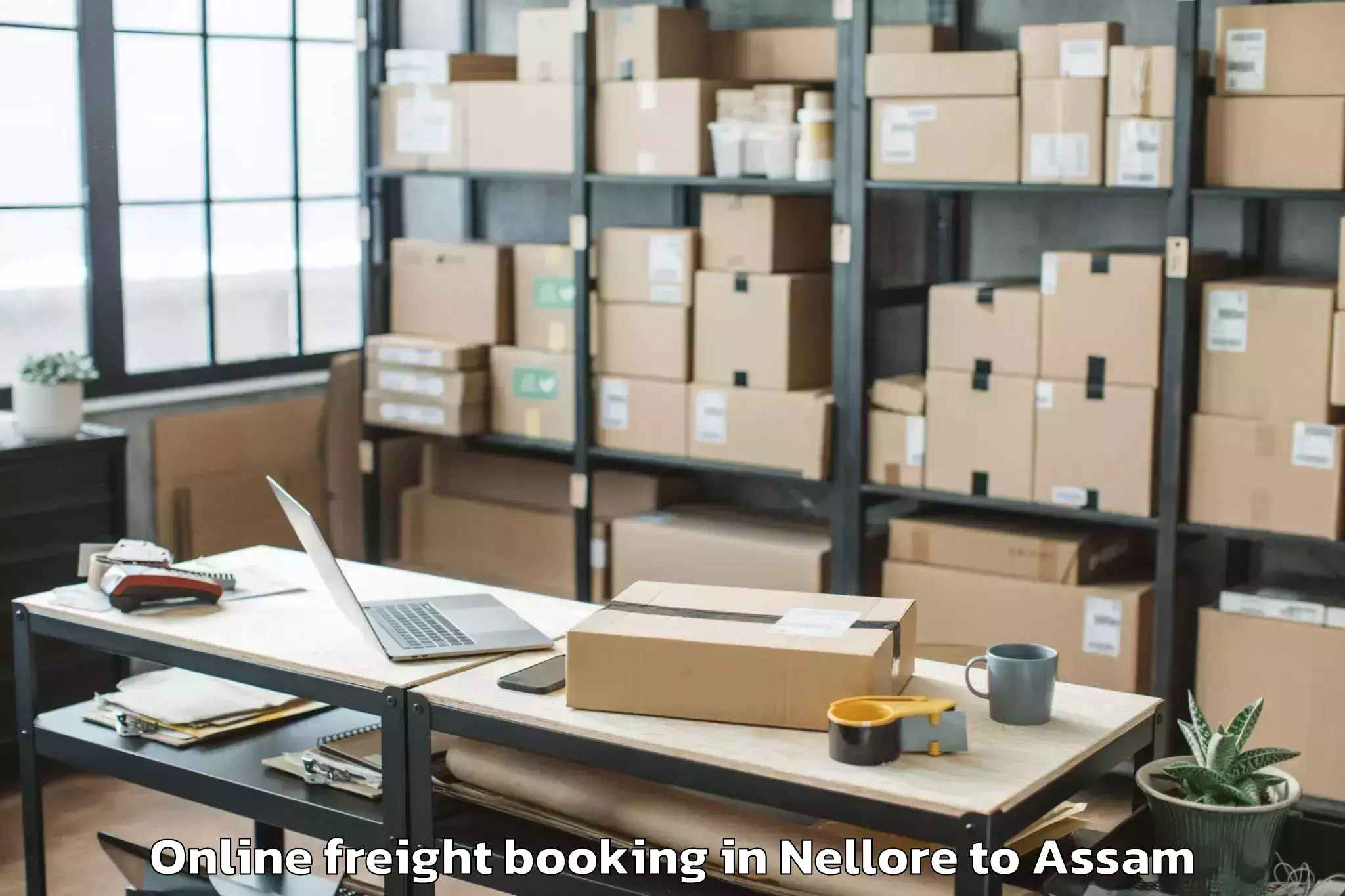 Easy Nellore to Balijan Online Freight Booking Booking